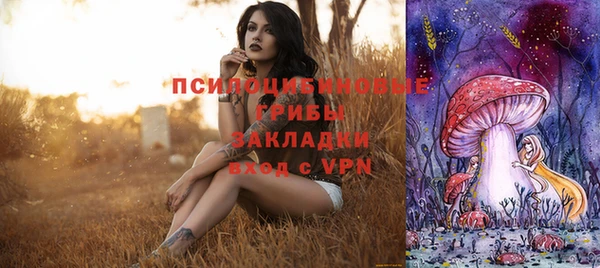 гидропоника Елабуга