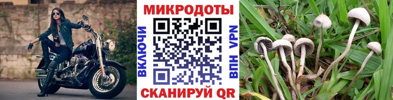даркнет сайт  Сухиничи  Галлюциногенные грибы прущие грибы 